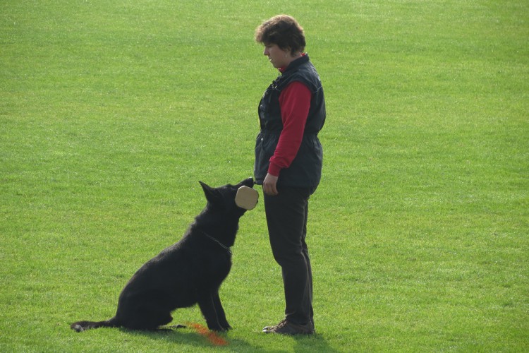 Eva Kr�tk� a Vrisco Niox