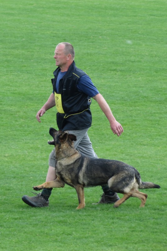 Josef Kr�l�k a Renny z Daskonu