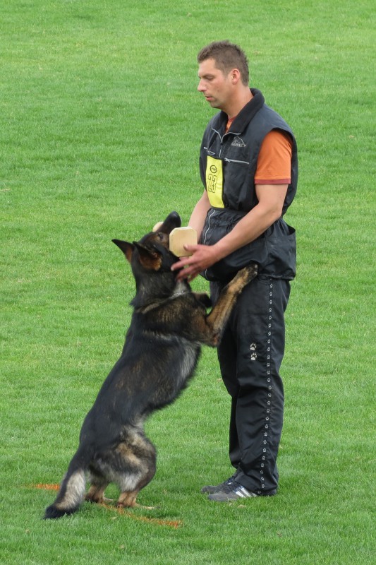 Luk� Kraus a Bady Anilorak