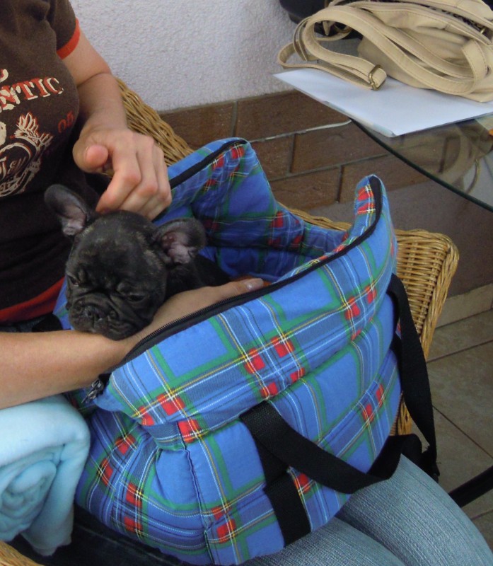 Kone�n� pojedu dom�!