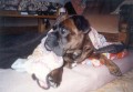 kdopak m� to bud�?
