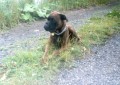 na proch�zce