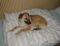 j� v�m �e bych nem�la