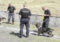 v�cvik sl.ps�