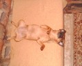 Odpo�inek