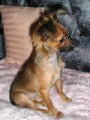 Bonnie 5 m�s�c�