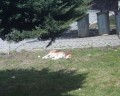 Odpo�inek