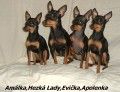 fenky v chovatelsk� stanici