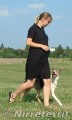 Beeba p�i ovladatelnosti bez vod�tka