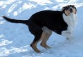Bayla Bayla Nirreterrit - 18 t�dn� - "hahaha"