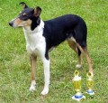 JCh. Bu Bu Bu Nirreterrit s trofejemi za Klubov�ho v�t�ze a BOB