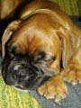 Hatty 2m�s�ce