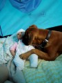 a dve mimi po druh�