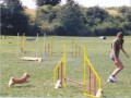 na�e agility