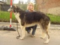 EDIE MURPHY Bal�aja Achota