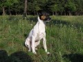 Frisbee v T�e��ovce