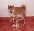 Joy� - 3 m�s�ce