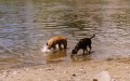 ve vod�