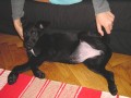 vyval�m pupek ;)