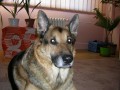 a tohle je m�j star� brach Jeremi�