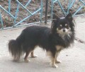 N� krasavec