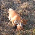 �imi a kamrad ze �kolky5