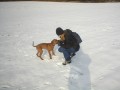 sn�h