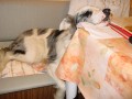 Usnout se d� opravdu v�ude