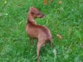 Na proch�zce