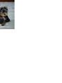 tady jsem se s�grou