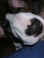 �uchy, �uchy :o)