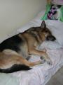  v posteli se to spink�