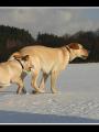 B�ra a Jon�