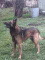syn d�dka dnes u� taka skoro d�dek(7 let)