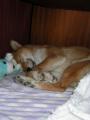 a takhle sp� taky...