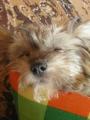 psink�m...