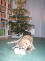 V�noce:-))))))