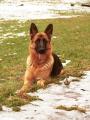 Mollou�ek