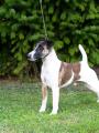 Enrico Od Hrub�ho lesa