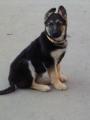 se�