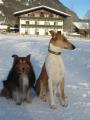 �eltie a kolie kr�tkosrst�