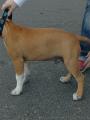Nechci st�t