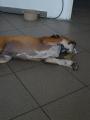Odpo�inek