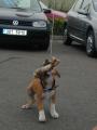 Kdo sk�m z�pas�?