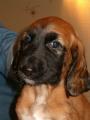 Tak tohle je m�j mal� Sunny