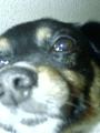 Jimm�k