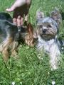 Na proch�zce