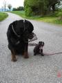roky a j�