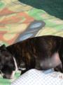 spink�n�