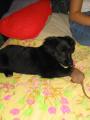 Kikina jako �t�n�